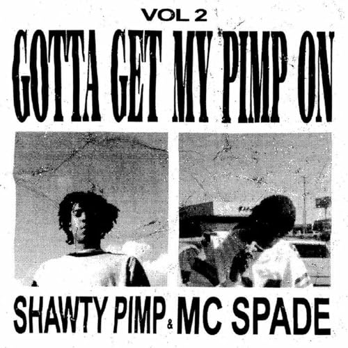 Gotta Get My Pimp On 2 [Vinyl LP] von Now Again
