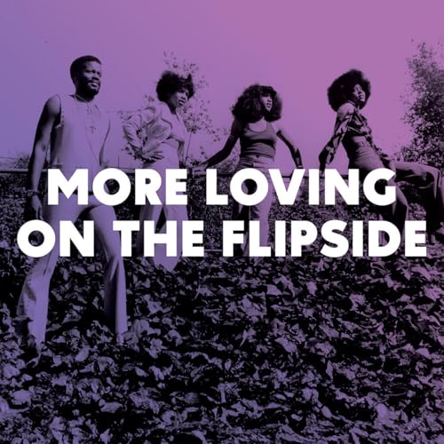 More Loving On The Flipside: Sweet Funk & Beat-Heavy Ballads 1968-1975 (Various Artists) [Vinyl LP] von Now Again