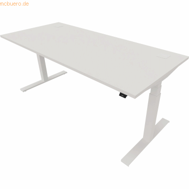 NowyStyl Schreibtisch eModel 2.0 180x80cm weiß/weiß NowyStyl Schreibtisch eModel 2.0 180x80cm weiß/weiß von NowyStyl