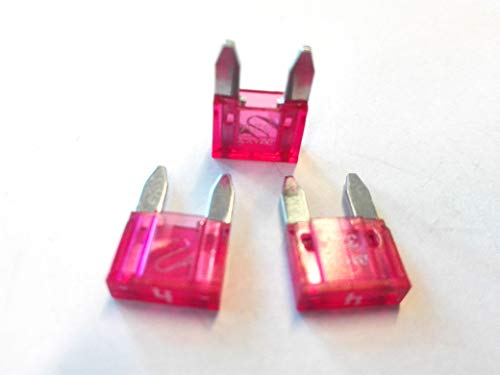 100 x Flachstecksicherung Mini-Sicherung 4A / 32V / pink von Nrv-Outdoorbedarf