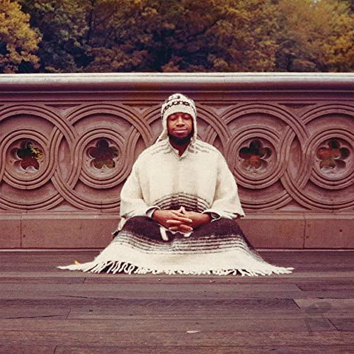 Segue to Infinity [Vinyl LP] von Numero Group