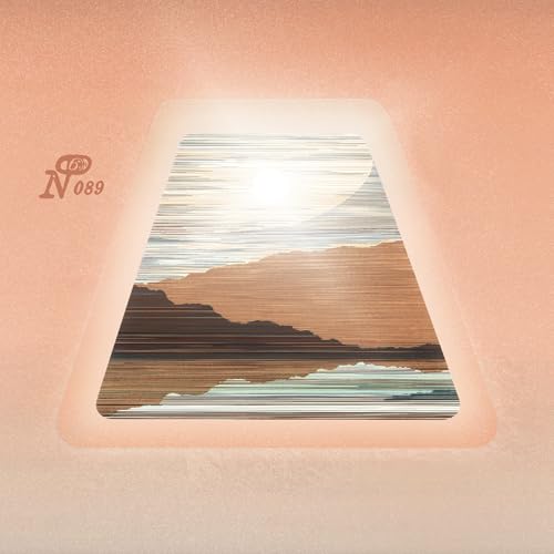 Bliss Out: For Days (Various Artists) [Vinyl LP] von Numero