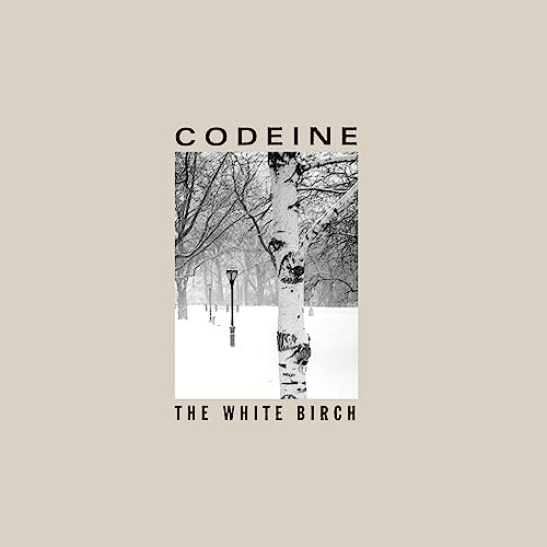 The White Birch The White Birch von Numero