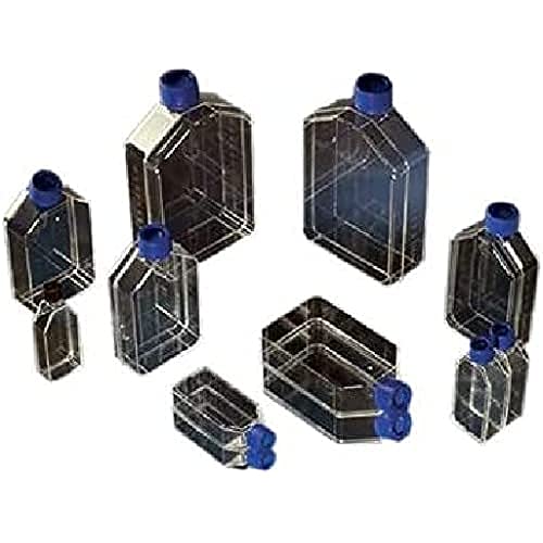 Nunc Thermo Scientific 178883 Zellkulturflaschen mit Gradhals/Filterkappen, 175 cm², CC, Steril (32-er Pack) von Nunc Thermo Scientific