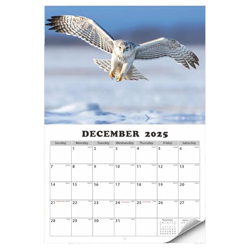 Wandkalender 2025 | Adlerwand-Monatskalender von Januar 2025 bis Januar 2026 | hängender Flip-Tagesplaner für Home Office und Schule, kräftiger und heller Planer mit malerischen -Bildern Wandkalender 2025 | Adlerwand-Monatskalender von Januar 2025 bis Januar 2026 | hängender Flip-Tagesplaner für Home Office und Schule, kräftiger und heller Planer mit malerischen -Bildern von Nuyhgtr