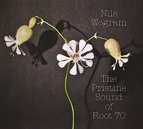 The Pristine Sound of Root 70 von Nwog Records / Indigo