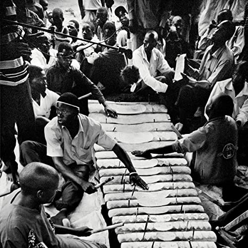 Nakibembe Embaire Group [Vinyl LP] von Nyege Nyege Tapes