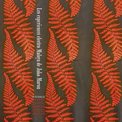 The Electro Maloya Experiments of Jako Maron (Red [Vinyl LP] von Nyege Nyege Tapes