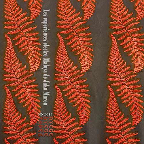 The Electro Maloya Experiments of Jako Maron [Musikkassette] von Nyege Nyege Tapes
