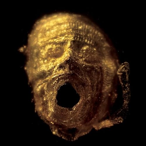 The Preying Well Tape [Musikkassette] von Nyege Nyege Tapes