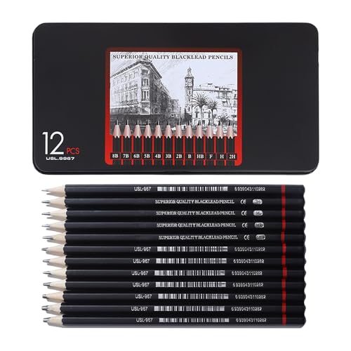 NyxSeat 12 Stück Bleistifte Set，Zeichen Bleistifte Set，Bleistifte Verschiedene Härtegrade Set 2H H F HB B 2B 3B 4B 5B 6B 7B 8B，Skizzierstifte Set für Kinder, Erwachsene, Künstler, Anfänger (Schwarz) von NyxSeat
