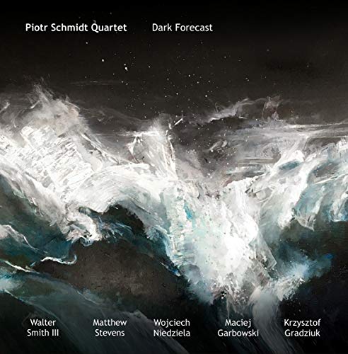 Dark Forecast (Gtf/180g/White/2lp) [Vinyl LP] von O-TONE MUS