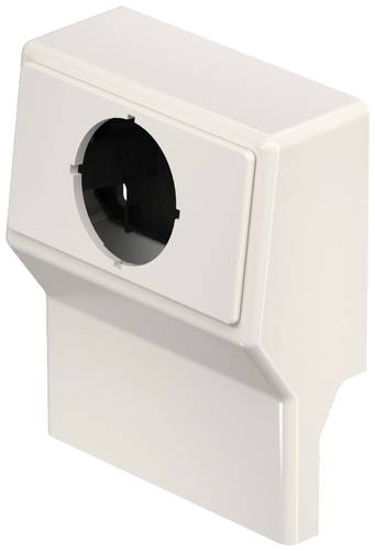 6132224 Elektro-Sockelleisten-Zubehör SL GTler2050 cw Geräteträger Creme-Weiß 1St. von OBO Bettermann