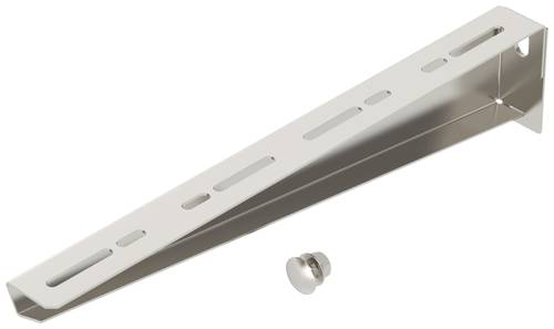 OBO Bettermann 6424436 Wand- und Stielausleger Befestigungs-Set (L x B) 38mm x 410mm 30 St. Edelstah von OBO Bettermann