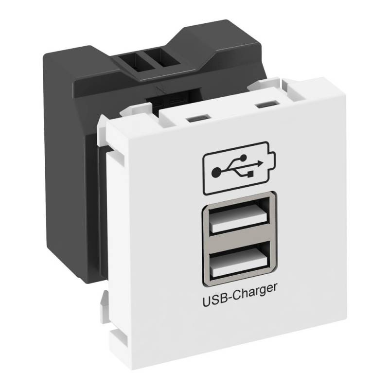OBO Bettermann USB Ladegerät MTG-2UC2.1 RW1 6105300 von OBO Bettermann