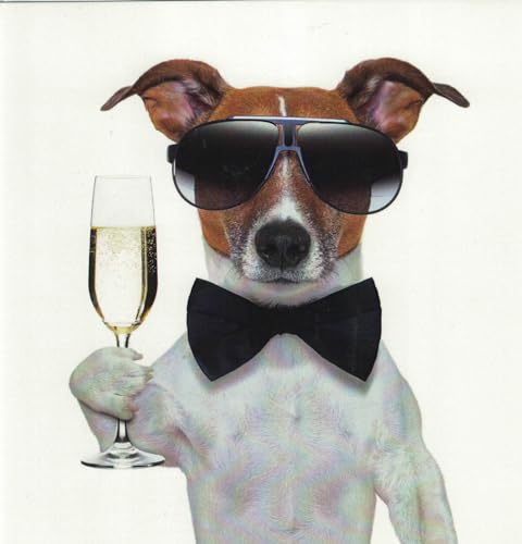 Lustige Geburtstagskarte Jack Russell Terrier Hund trinkt Champagner 16,5 x 16,5 cm OE. Lustige Geburtstagskarte Jack Russell Terrier Hund trinkt Champagner 16,5 x 16,5 cm OE. von OCCASIONS EXPRESS