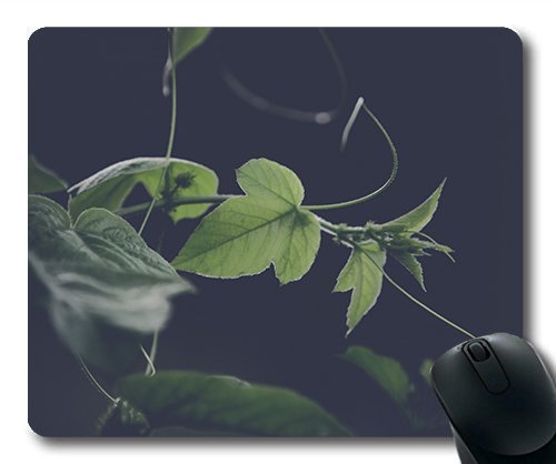 (Precision Lock Edge Mouse Pad) Abstract Blur Branch Close-up Color Environment Gaming Mouse Pad Mouse Mat for Mac or Computer von OEM
