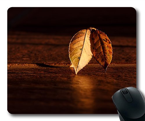 (Precision Lock Edge Mouse Pad) Leaf Autumn Dawn Golden Hour Light and Dark Gaming Mouse Pad Mouse Mat for Mac or Computer von OEM