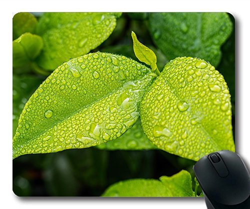 (Precision Lock Edge Mouse Pad) Leaf Green Foliage Green Leaves Green Leaf Nature Gaming Mouse Pad Mouse Mat for Mac or Computer von OEM