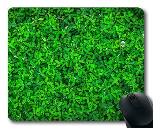 (Precision Lock Edge Mouse Pad) Leaf Nature Green Spring Abstract Plants Herb Gaming Mouse Pad Mouse Mat for Mac or Computer von OEM
