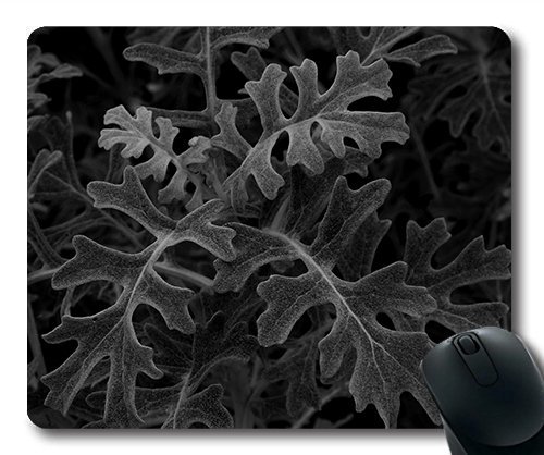 (Precision Lock Edge Mouse Pad) Leaves Nature Shadows Beautiful Abstract Gaming Mouse Pad Mouse Mat for Mac or Computer von OEM