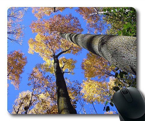 (Precision Lock Edge Mouse Pad) Trees Look up Forest Sky Nature Abstract Gaming Mouse Pad Mouse Mat for Mac or Computer von OEM