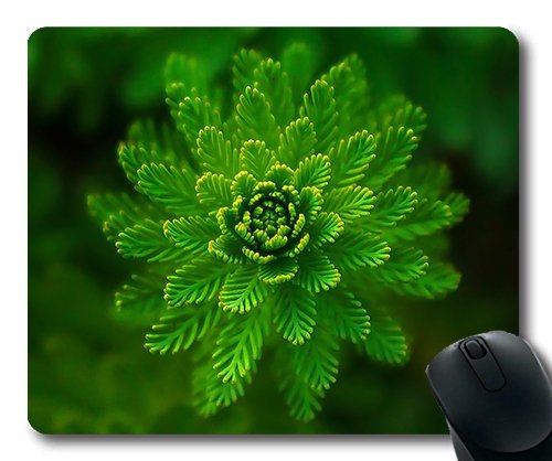 (Precision Lock Edge Mouse Pad) Water Plant Green Fine Layers Abstract Gaming Mouse Pad Mouse Mat for Mac or Computer von OEM