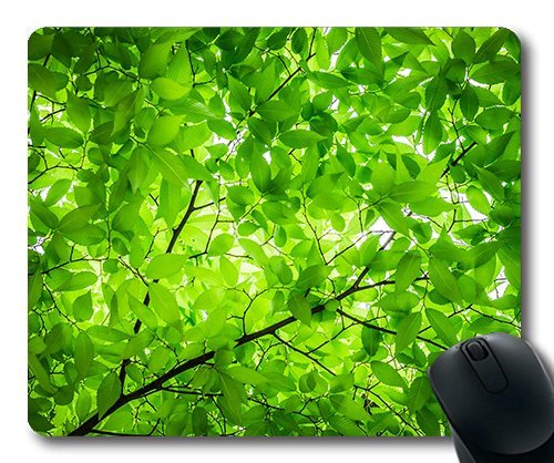 (Precision Lock Edge Mouse Pad) Wood The Leaves Twig Leaf Texture Pattern Nature Gaming Mouse Pad Mouse Mat for Mac or Computer von OEM