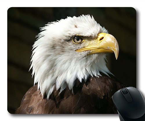 (genaue - Kante - Mousepad), Condor Adler Raptor Schnabel gefiederten Tieren Gaming - Maus mit Mac Oder Computer Mouse Pad. von OEM