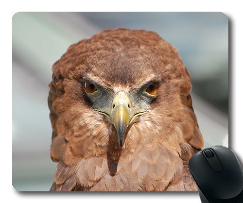 (genaue - Kante - Mousepad) Adler Raptor Gaming - Maus aus der vogelperspektive Falcon Federn Schnabel Mac - Oder der Computer Mouse Pad. von OEM