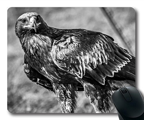 (genaue - Kante - Mousepad) Adler Schwarze und Weiße Vögel Animal Wildlife Gaming - Maus mit der Mac - Oder der Computer Mouse Pad. von OEM