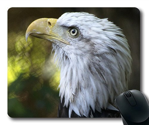 (genaue - Kante - Mousepad) Adler US - Raptor Raptor Glatze Wild Mouse Pad. Mac Oder Computer von OEM