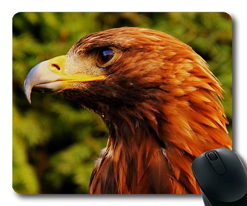 (genaue - Kante - Mousepad) Adler Vogel Schnabel Gaming - Maus Raubtier Details Mac - Oder der Computer Mouse Pad. von OEM