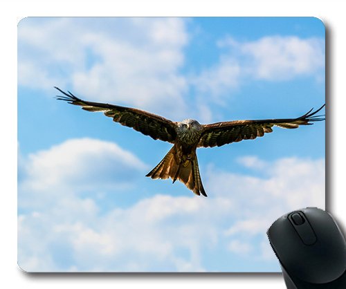 (genaue - Kante - Mousepad) Flight Hawk Vogel Gaming - Maus für Mac Oder Computer Mouse Pad. von OEM