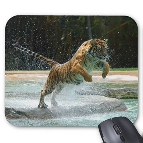 Dass der Tiger Mag es Yanteng Maus - Maske rechteckige Rutschfesten Gummi - Mousepad. Design - Gaming Mouse Pad - Stil von OEM