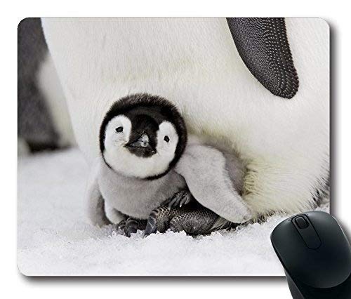 Gaming Mouse Pad Baby - Pinguin - Mousepad Mouse Pad - Computer - Tisch natürlichen Kautschuk dauerhafte schreibwaren - Mousepad Geschenke von OEM