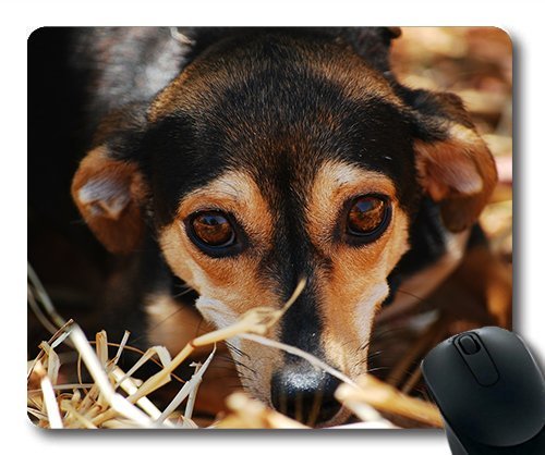 Gaming Mouse Pad - Mousepad für Mac und Windows - Gamer - Hund Enger Tierheim gefühle Angst von Frauen/Männer Yanteng Kinder Verkauft Werden von OEM