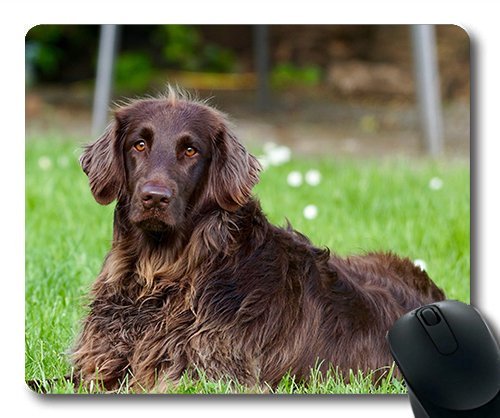 Gaming Mouse Pad - Mousepad für Mac und Windows - Gamer - Hunde Tiere Deutschland Deutschland langhaarige Zeiger für Frauen/Männer, Um die Augen der Kinder Yanteng Verkauft von OEM
