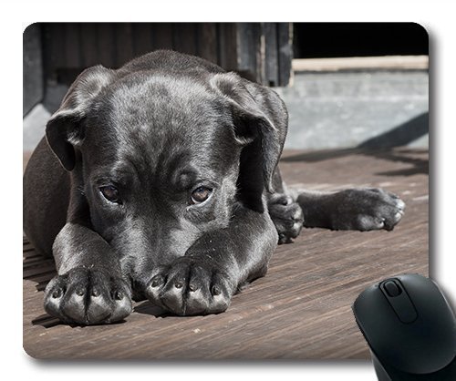 Gaming Mouse Pad - Mousepad für Mac - und Windows - Gamer - Hunde - Welpen Pet 藤科索 scheu der Tiere für Frauen/Männer Yanteng Kinder Verkauft Werden von OEM