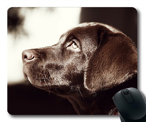 Gaming Mouse Pad - Mousepad für Mac und Windows - Gamer - Labrador - Hunde Treue Haustier Braun für Frauen/Männer Yanteng Kinder Verkauft Werden von OEM