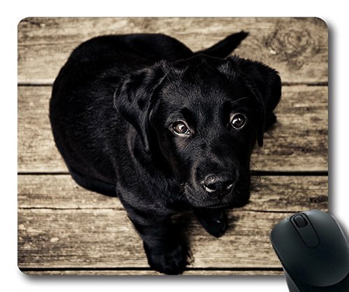 Gaming Mouse Pad für Mac - und Windows - Gamer - der Kleine Hund Frauen/Männer Yanteng Kinder Verkauft Werden von OEM
