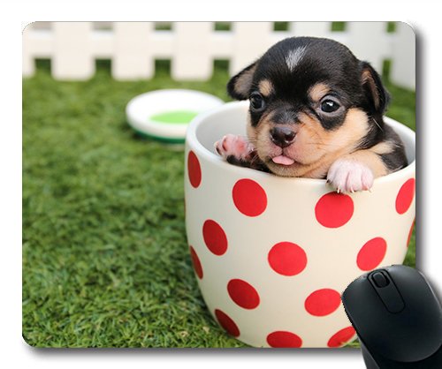 Gaming Mouse Pad. Mac - und Windows - Gamer - Chihuahua - Welpen Niedliche Haustiere Hunde die Tiere für Kinder Yanteng Verkaufen Frauen/Männer von OEM