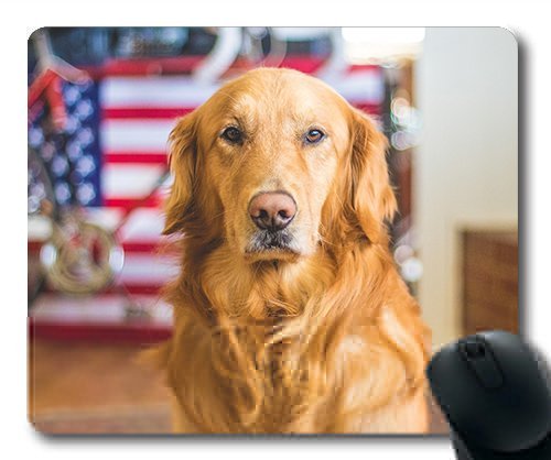 Gaming Mouse Pad. Mac - und Windows - Gamer - Hund, Hunde der Familie Hund Haustiere für Kinder Yanteng Frauen/Männer Verkaufen von OEM