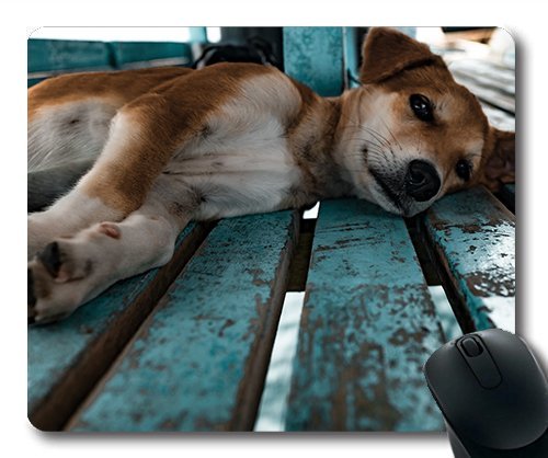 Gaming Mouse Pad. Mac - und Windows - Gamer auf Ein Haustier Hund Welpen Tiere Süßes Baby für Frauen/Männer Yanteng Kinder Verkauft Werden von OEM