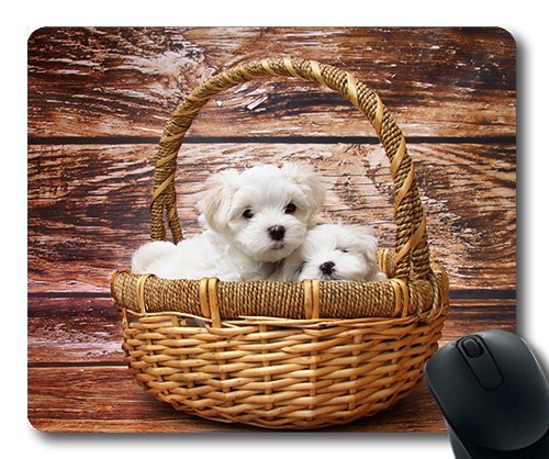 Gaming Mouse Pad. Mac - und Windows - Spiel Hund Süße Tiere Schlafen Hunde Malta Wiese für Frauen/Männer Yanteng Kinder Verkauft Werden von OEM