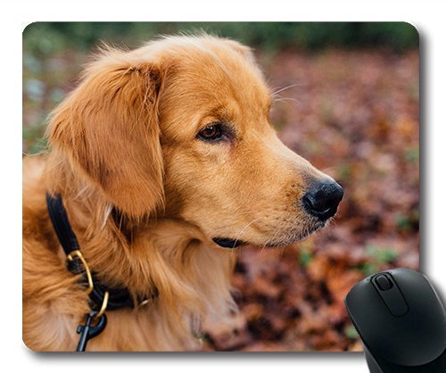 Gaming Mouse Pad. Mac - und Windows - Spiele Bei Kindern Hunde Verkauft Yanteng Frauen/Männer von OEM