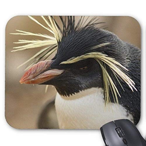 Gaming Mouse Pad. Stein Pinguin - Mousepad von OEM