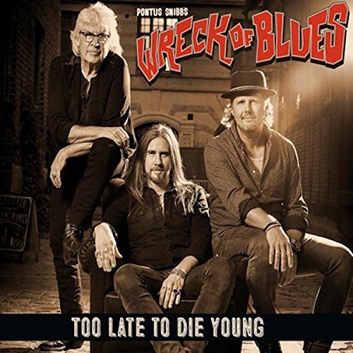 Too Late to die Young [Vinyl LP] von OFF YER ROCKA