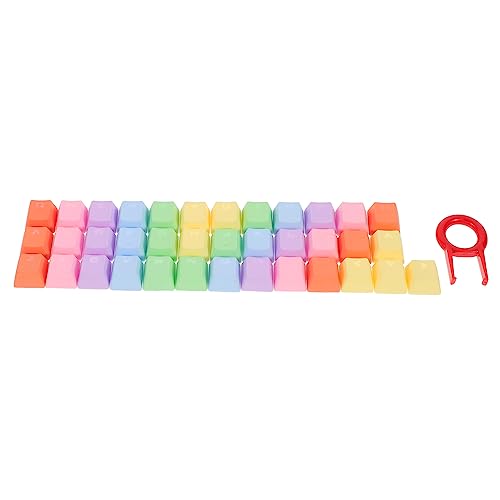 OFFSCH Tastenkappen für mechanische Tastaturen PBT-Material Set mit schicken Computer-Tastenkappen einfache Installation an Farben von OFFSCH