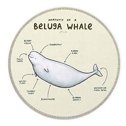 Rundes Mauspad, Motiv Anatomy of a Beluga Whale, 20x20 cm, lustig, niedlicher Beluga-Wal, bedruckt, rutschfeste Gummiunterseite, geeignet für Büro, Zuhause, Schreibtisch, Mädchen, Studenten von OFlich